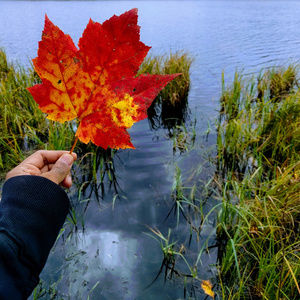Appreciate Well Worn Flats - let your feet work for you!